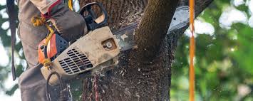 Soil Testing and Treatment in Whitefish Bay, WI