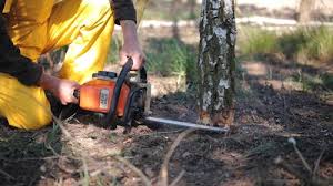Landscape Design and Installation in Whitefish Bay, WI